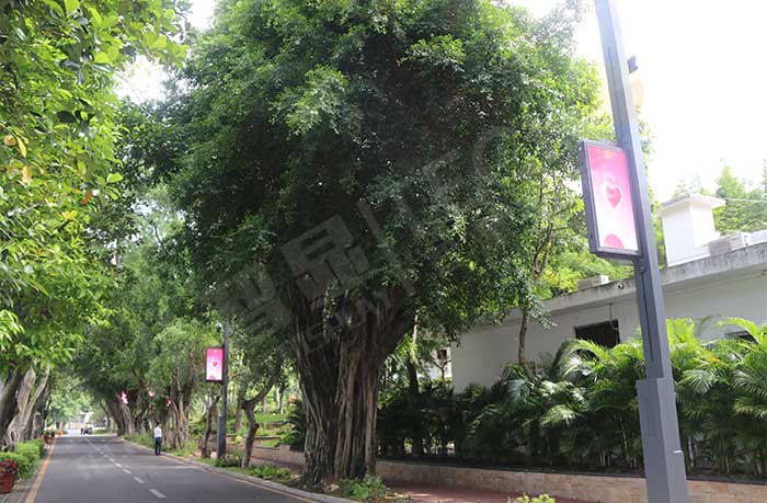 led燈桿屏|智慧燈桿屏|led廣告機|智慧路燈屏|戶外LED廣告機|燈桿屏|智慧燈桿|智慧路燈 led燈桿屏|智慧燈桿屏|led廣告機|智慧路燈屏|戶外LED廣告機|燈桿屏|智慧燈桿|智慧路燈